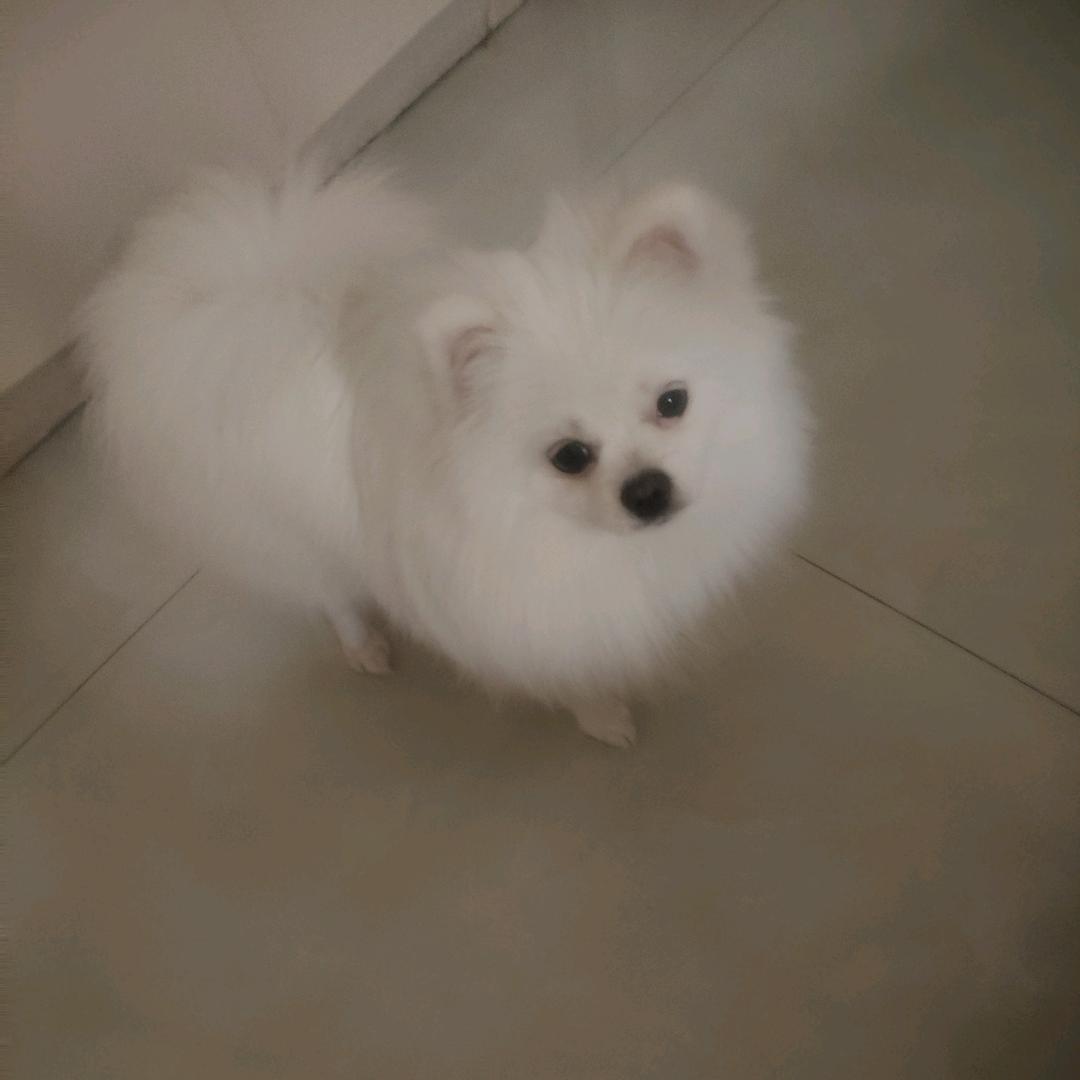 烟火人间