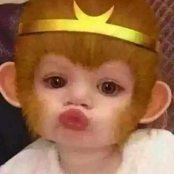 两广青蟹