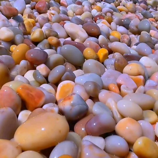 只做二件事发抖音发财