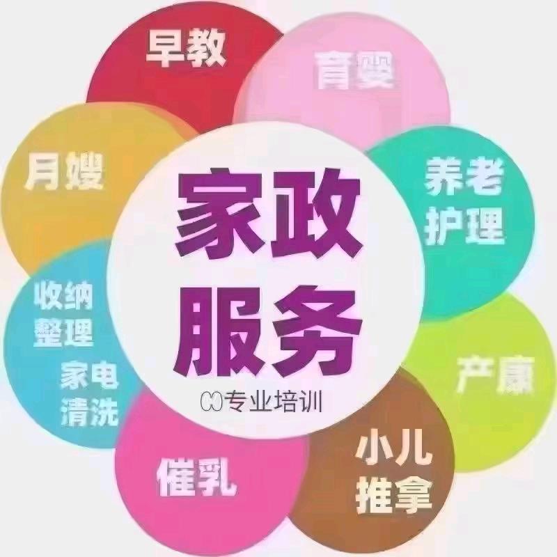 深圳市卢老师家政(收徒弟)