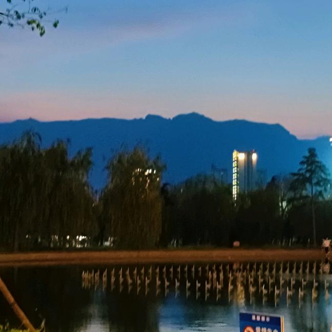 暖❤️向杨