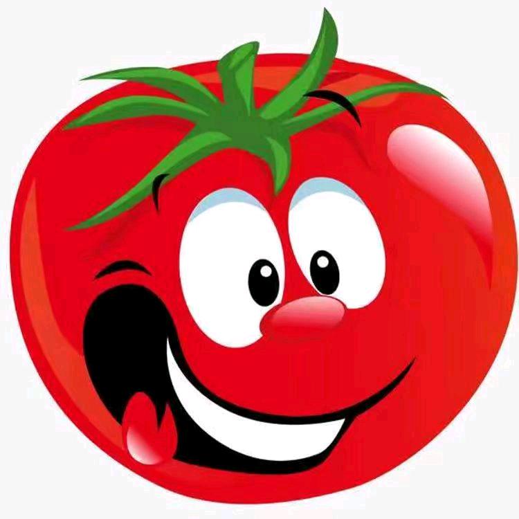 新疆番茄工厂店