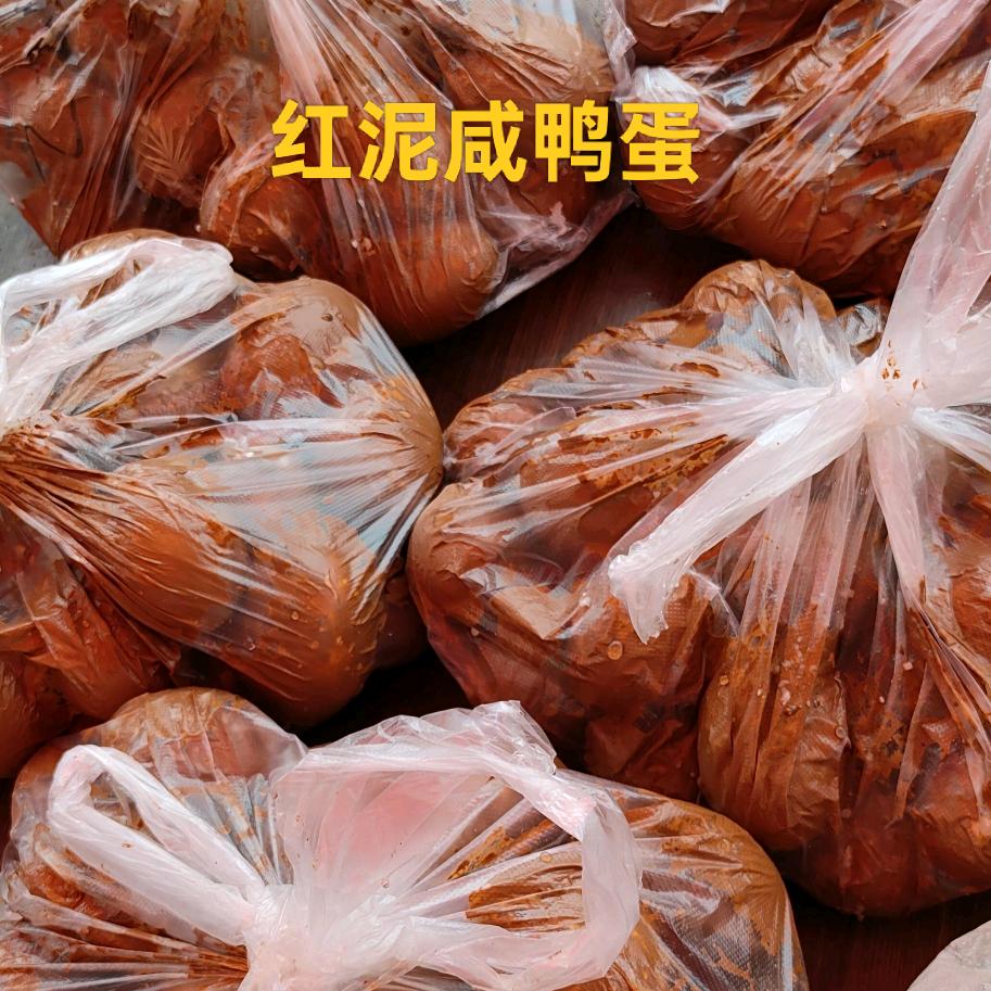 蛋鸭养殖