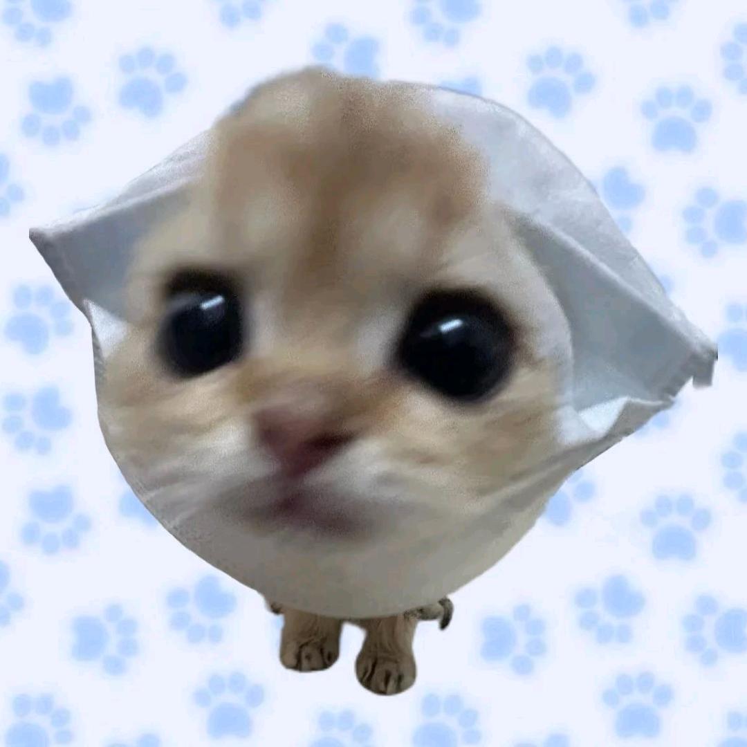 一一pingu一一