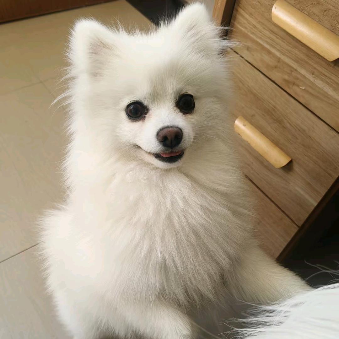一点墨