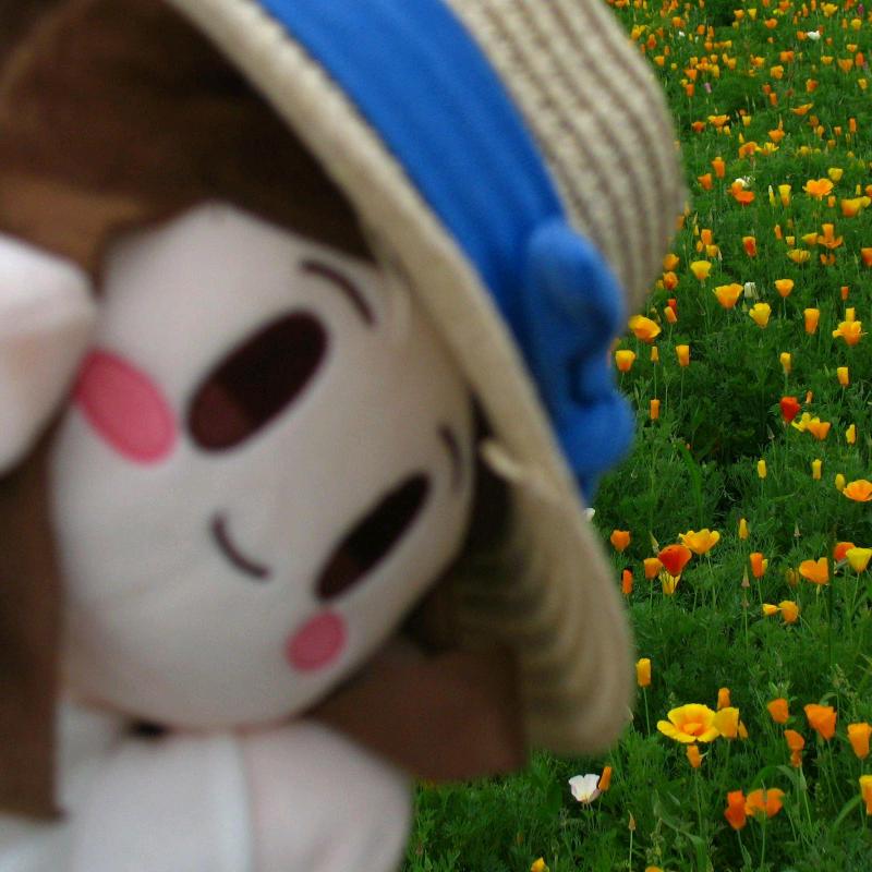 不明所以拉格朗日