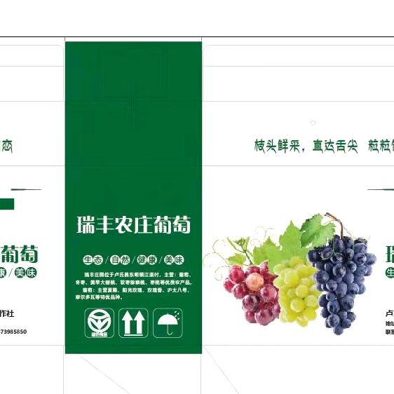 卢氏江渠瑞丰葡萄