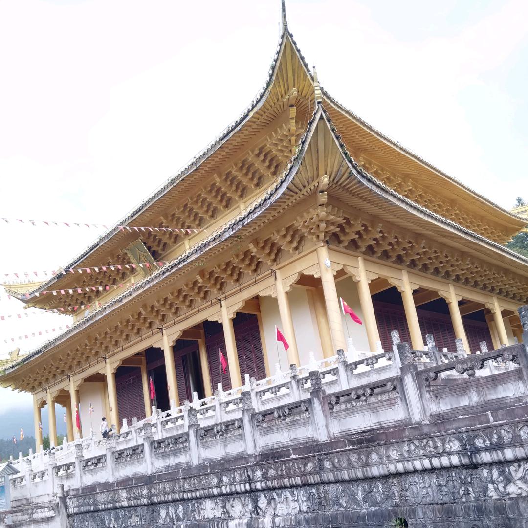 小蜂哥。