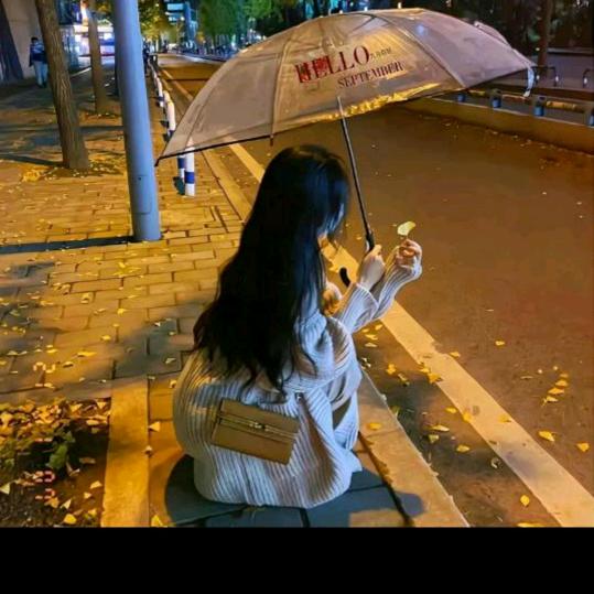 酒醉的蝴蝶🦋