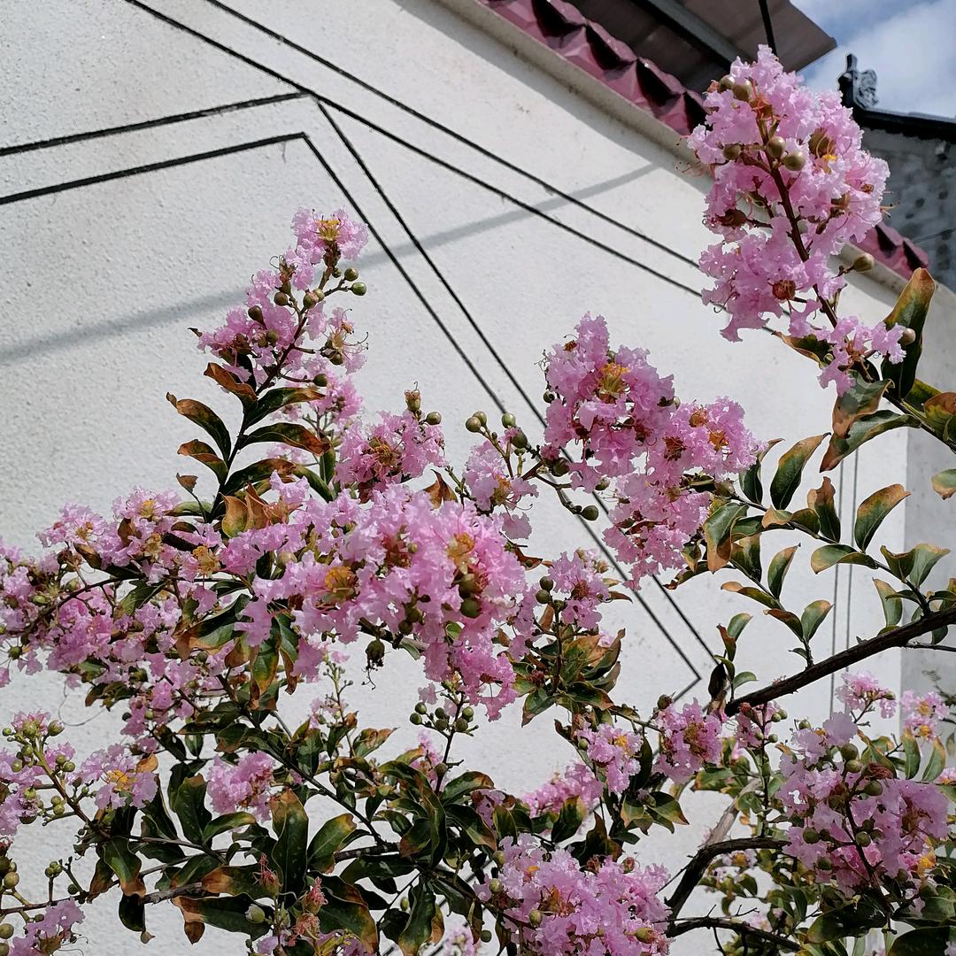 人间无情。
