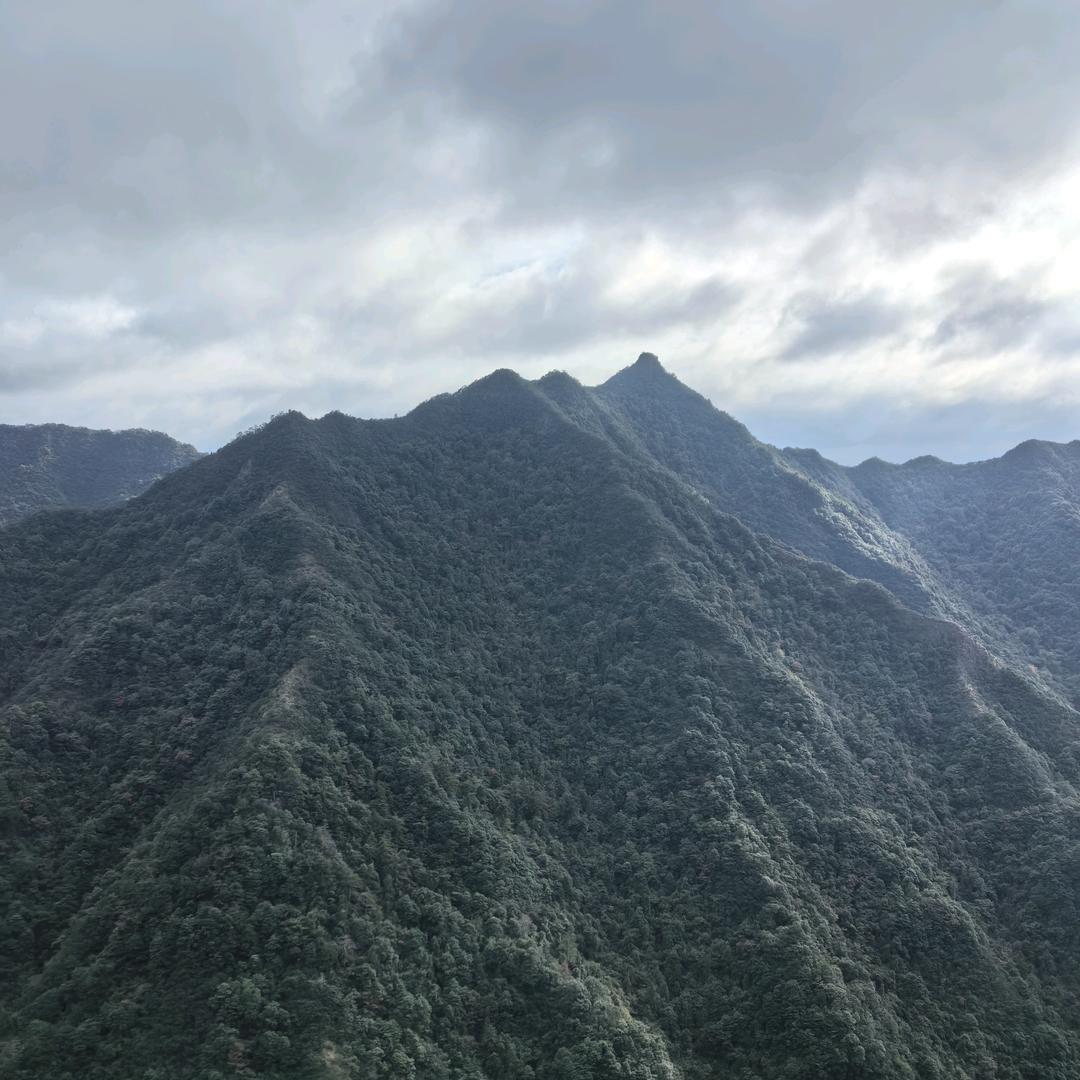 八一闲人