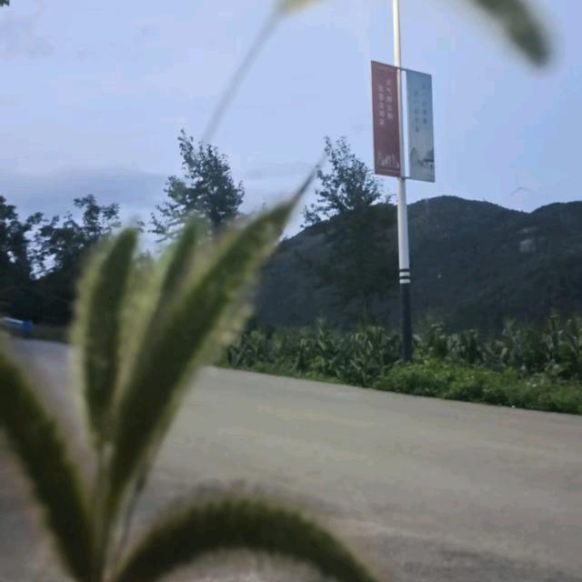 你知道我的名字，却不知道我的故事