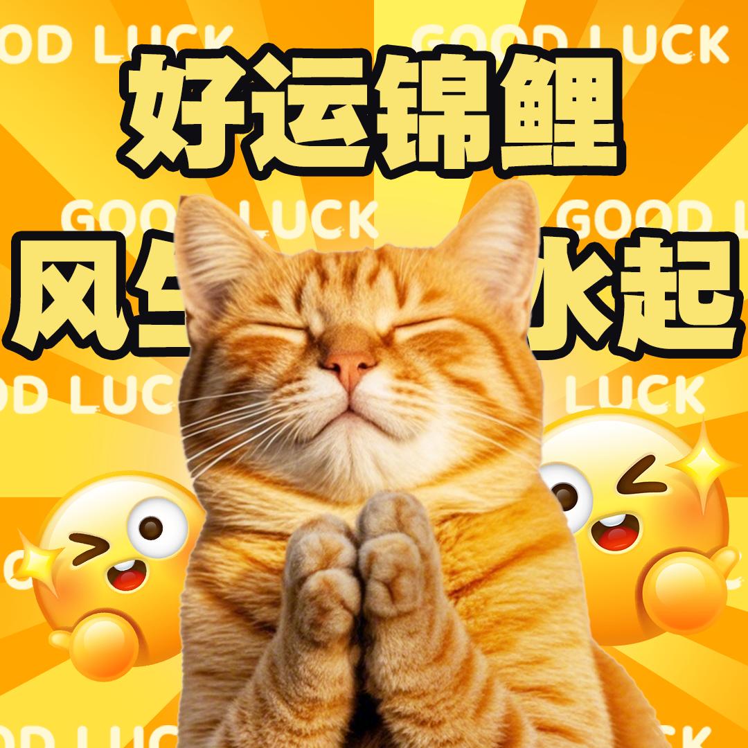米喵