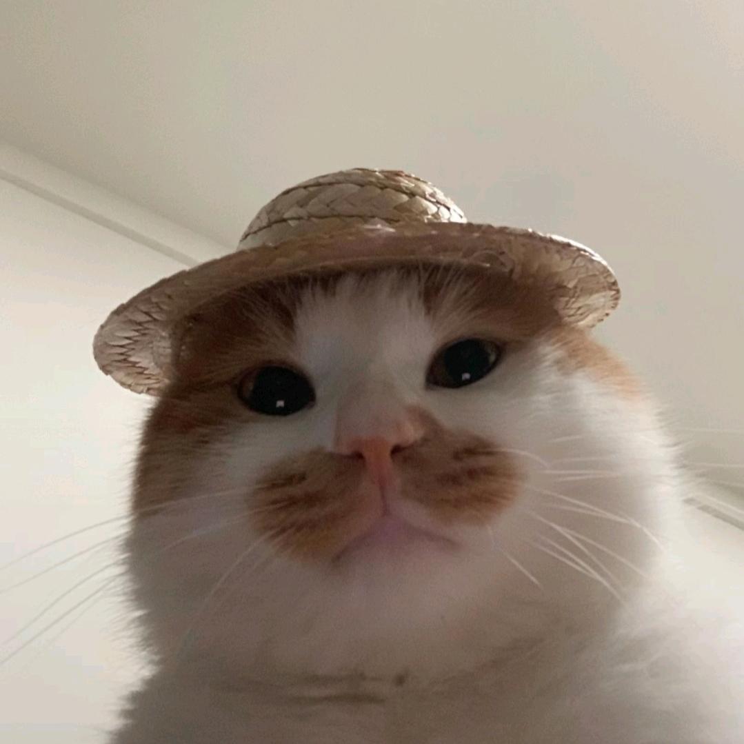 阿宽