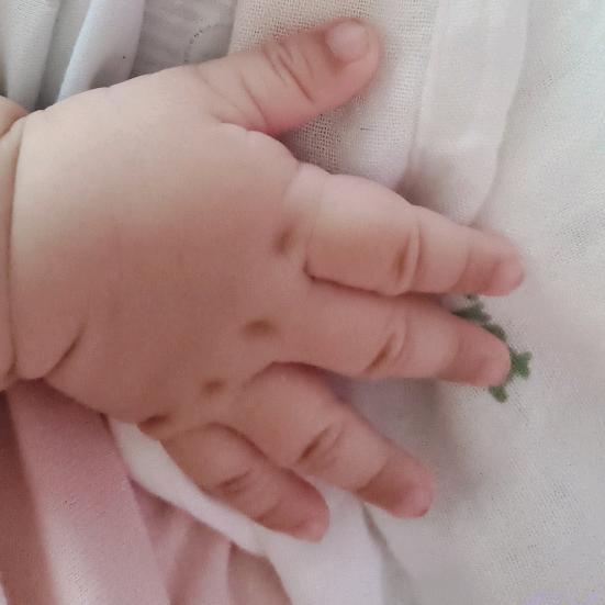 是六六呀😘😘