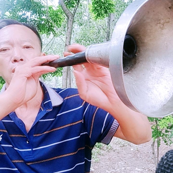 樊