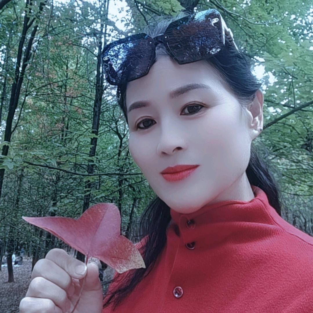红枫叶🍁🍁🍁