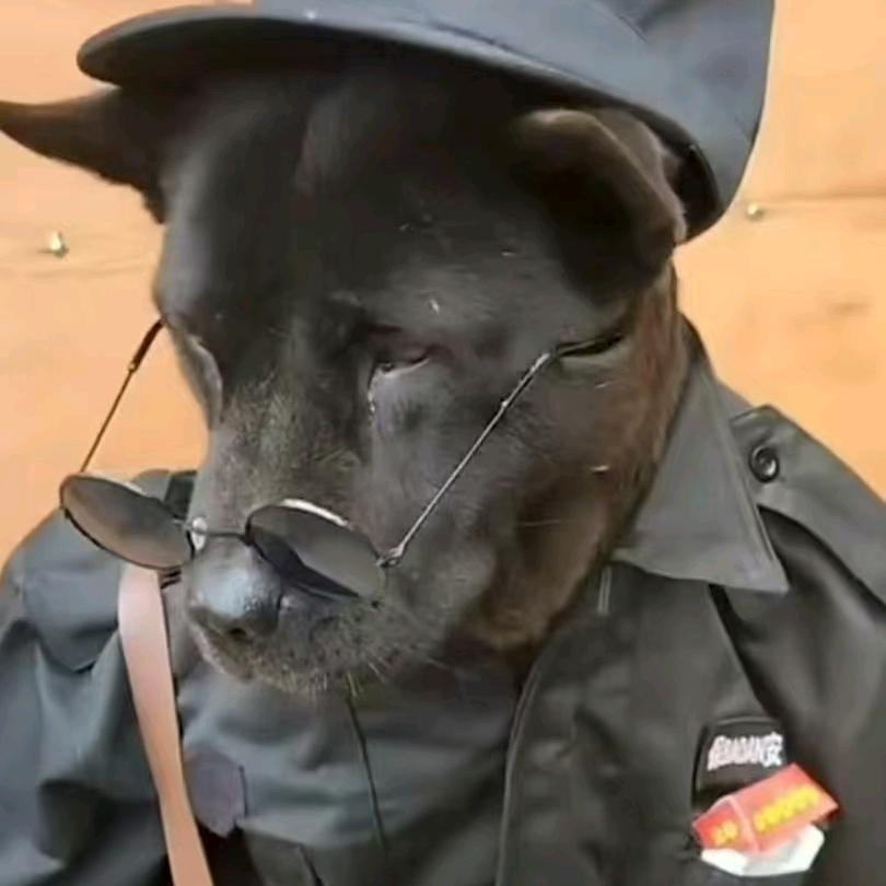 百万医疗如何选？避坑