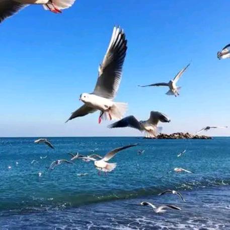 熟χí嘚陌のɡ亾