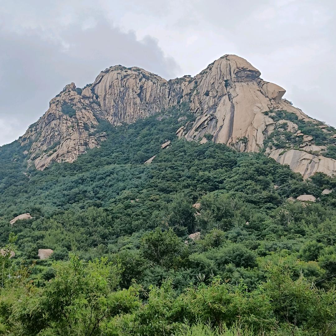 旧换新
