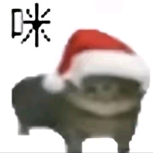 去走走