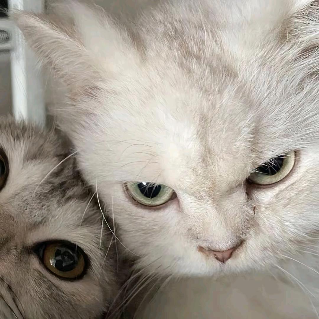 🇱 🇴 🇻 🇪 🇾 🇴 🇺