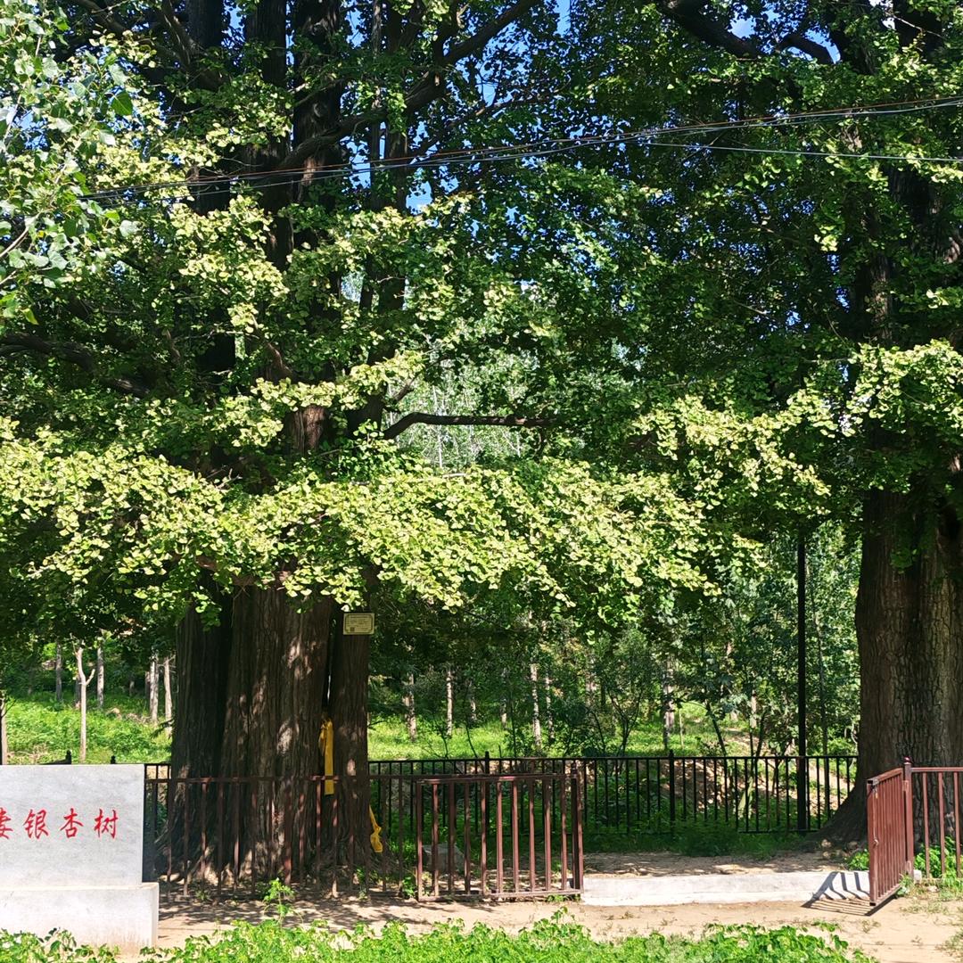哪山哪水还有哪人