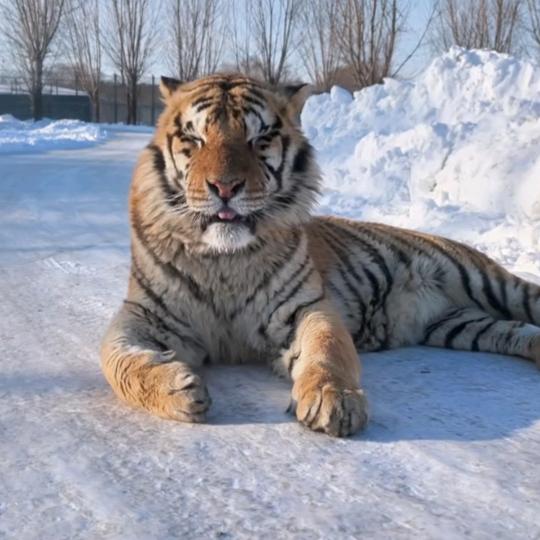 做事先做人诚信走天下