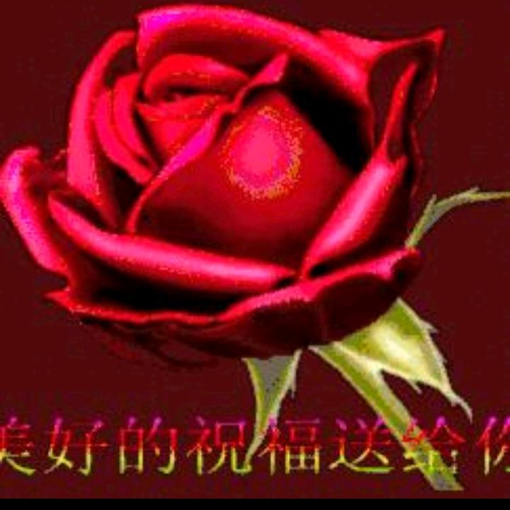 ✨思念💞远方✨