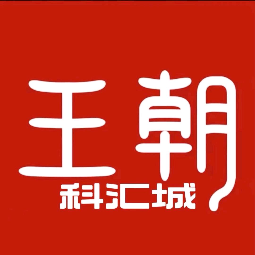 西安比亚迪王朝科汇城店