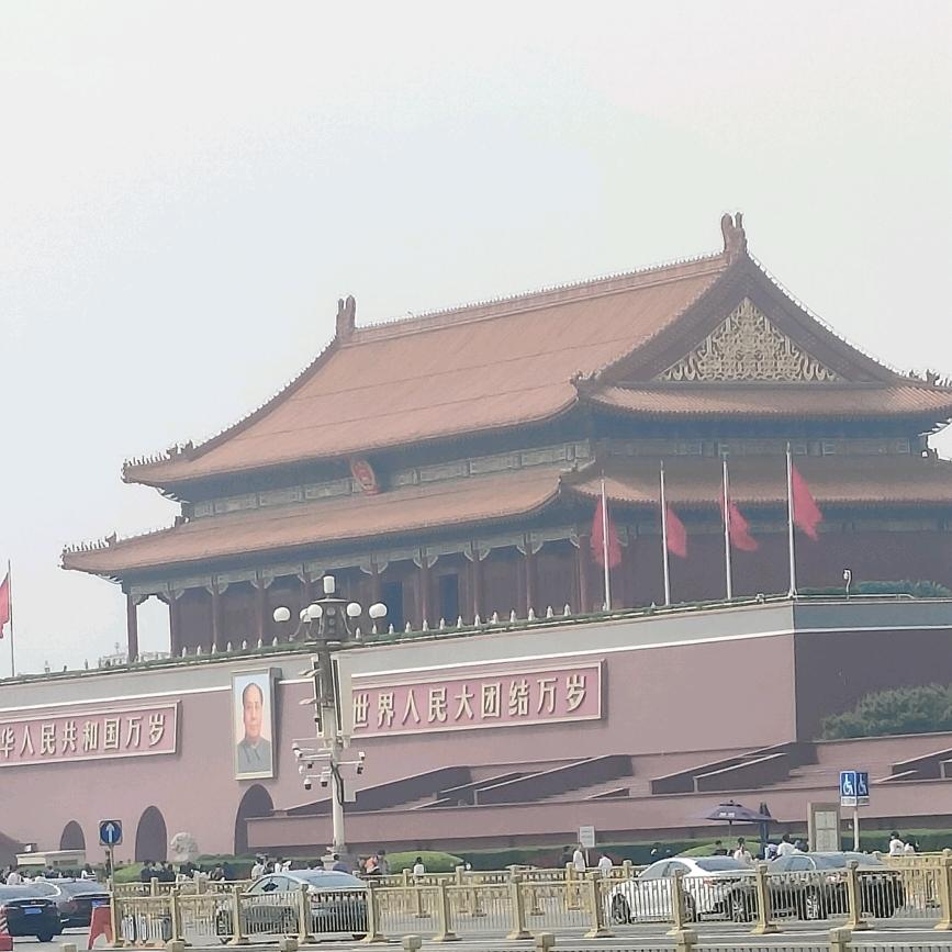 专业钢筋工