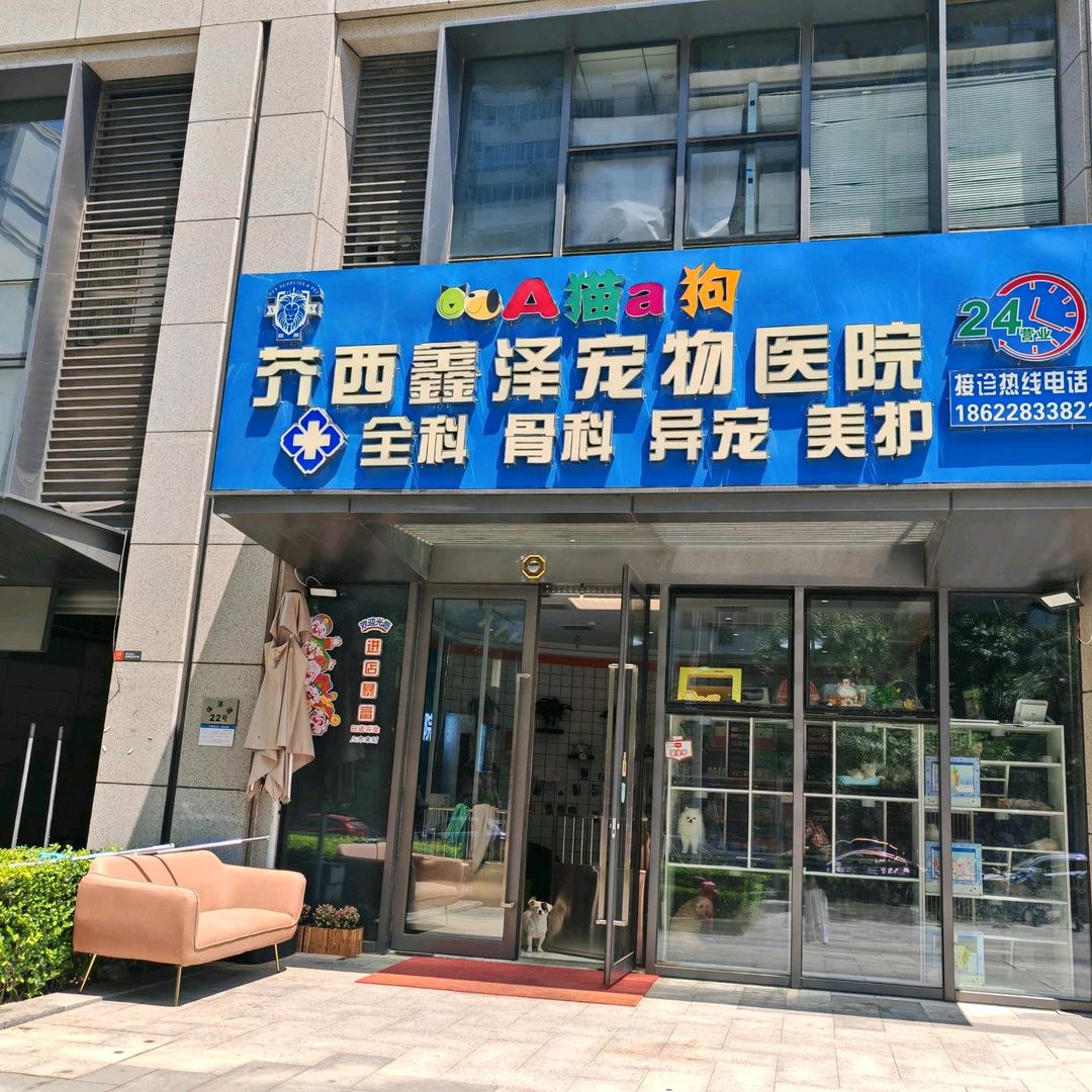 鑫泽宠物医院-孙院长