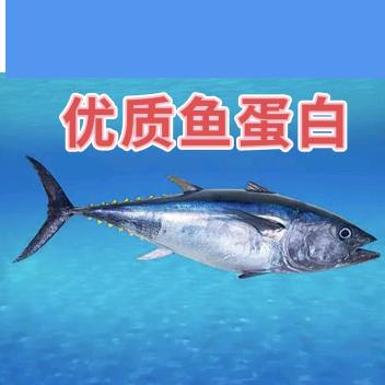 山东三山岛鱼蛋白生物肥料源头厂家