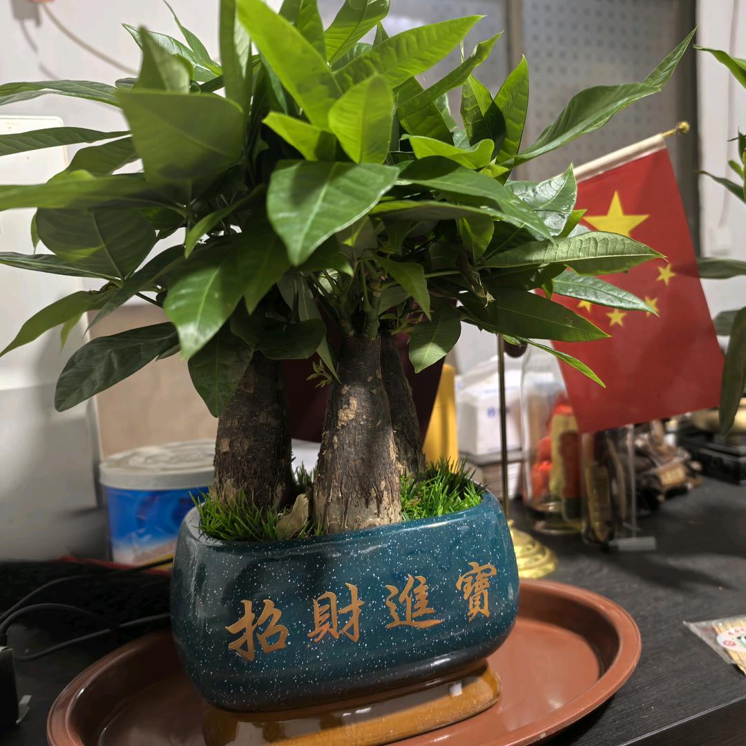 强盛制作