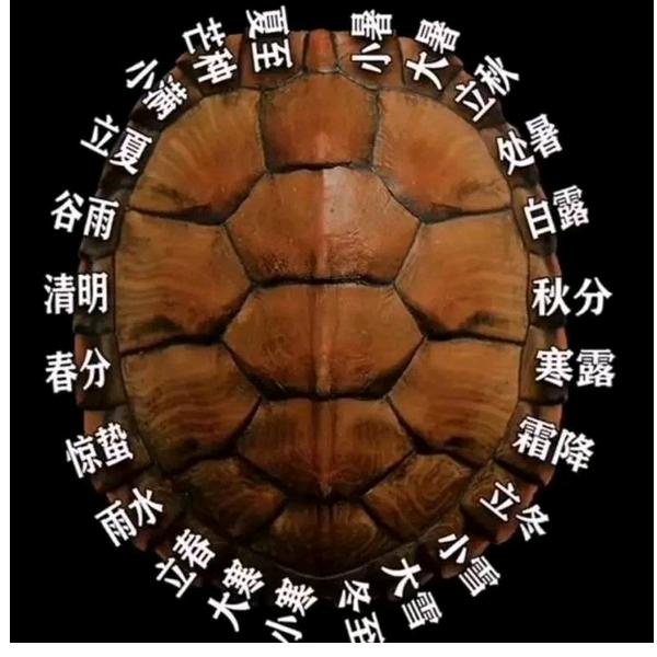 瑶山桂练木业公司