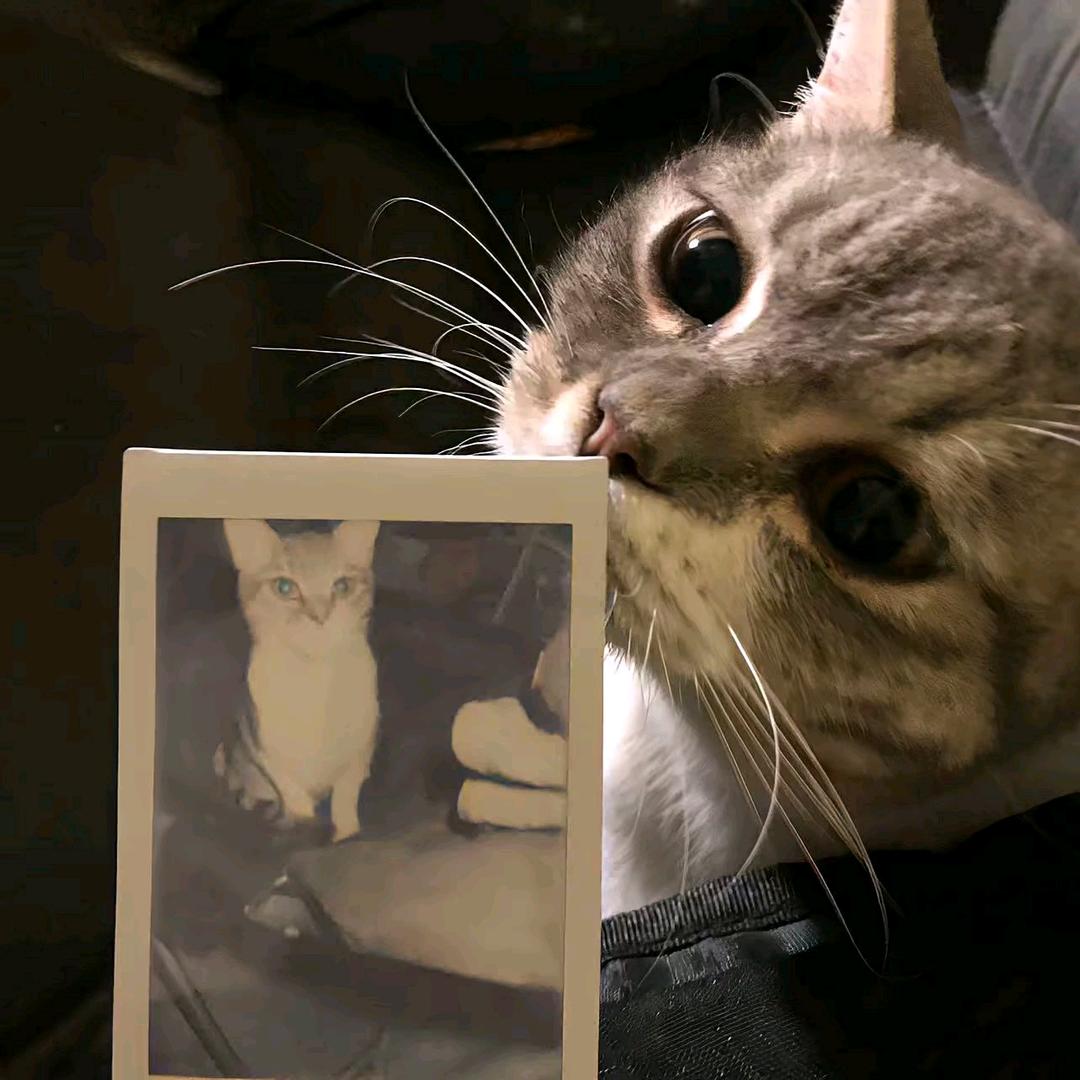 牛爷爷cos性感猫娘勾引隔壁人妻壮壮妈
