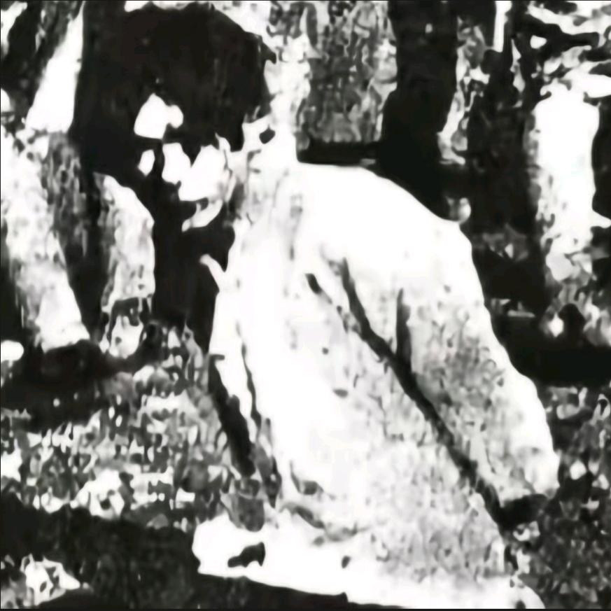 啟明山房
