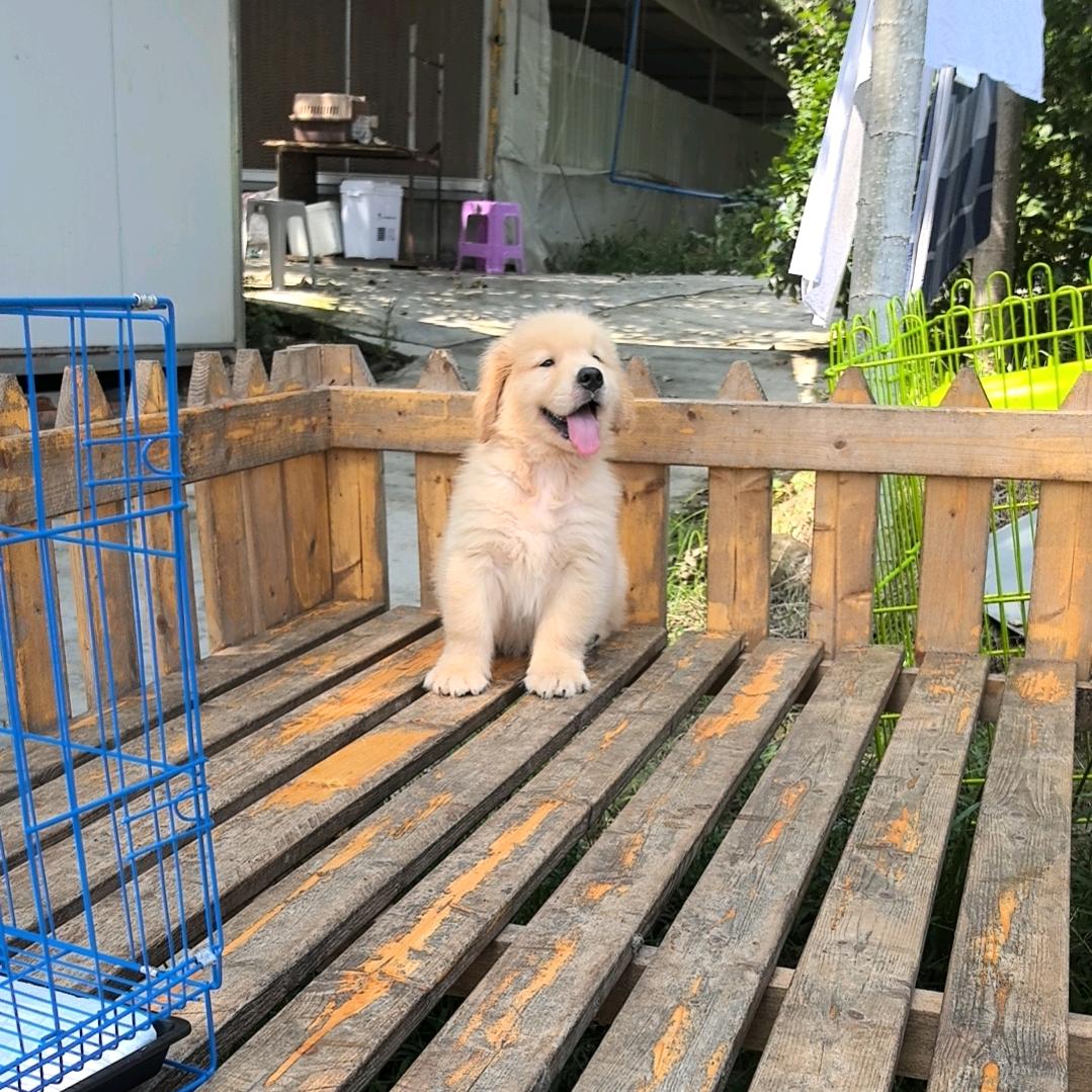 力丸本丸