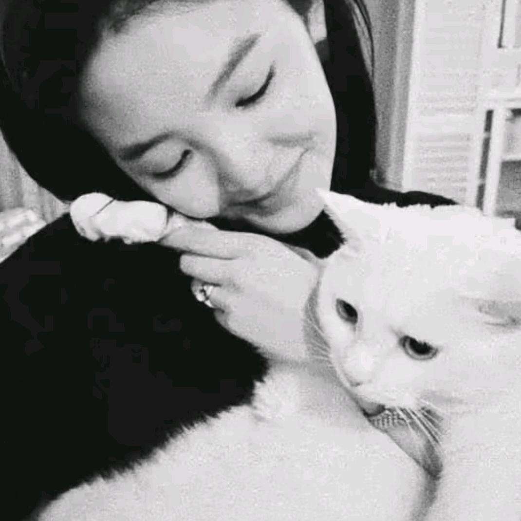 ㅤ ㅤㅤㅤㅤㅤㅤㅤ斩