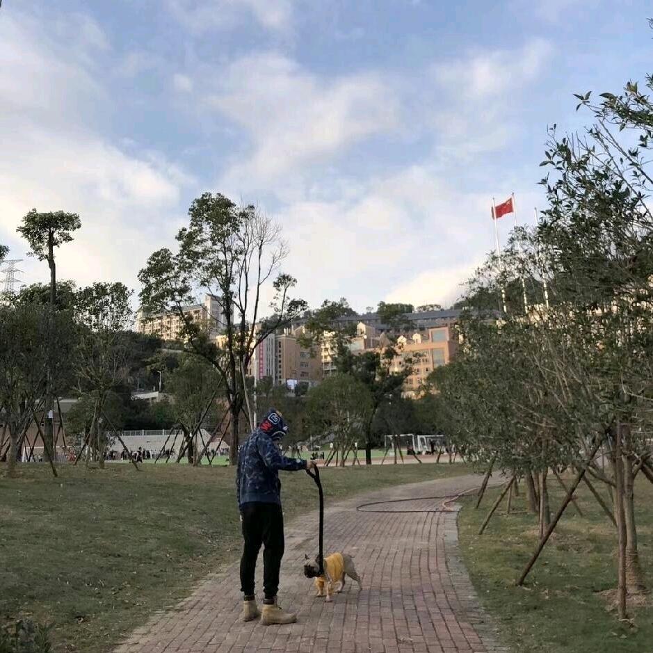 低调的李老师