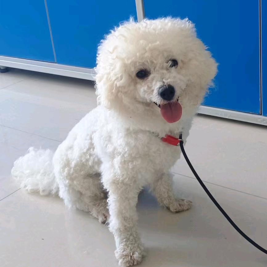 ❦路边的日落☾⋆᭄