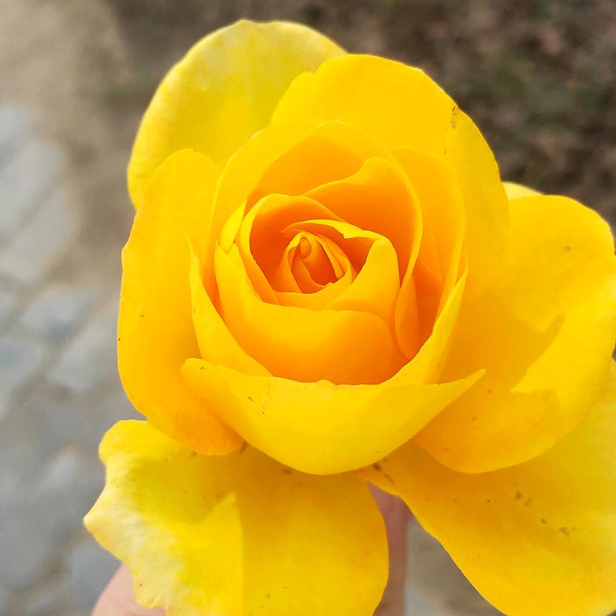 (>_<)祥云:拒私聊