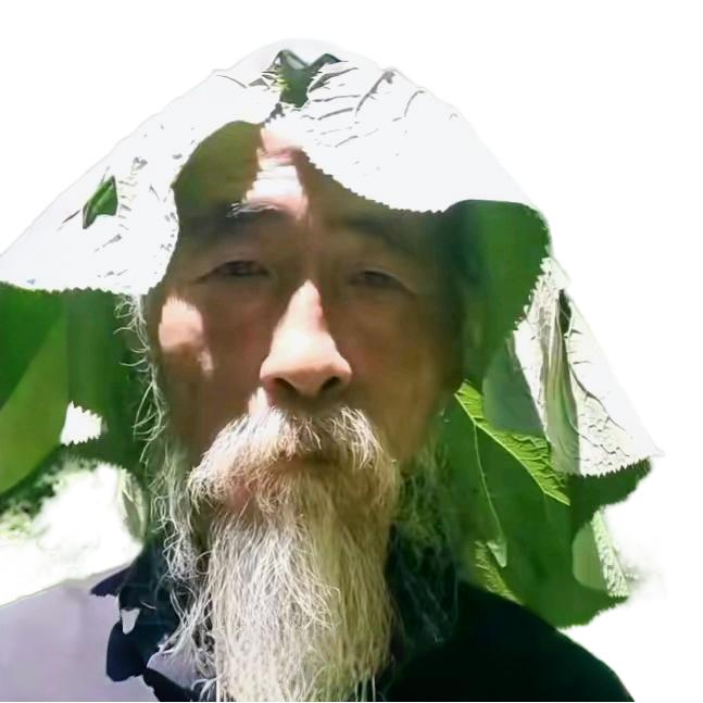 a^ζ叁柒