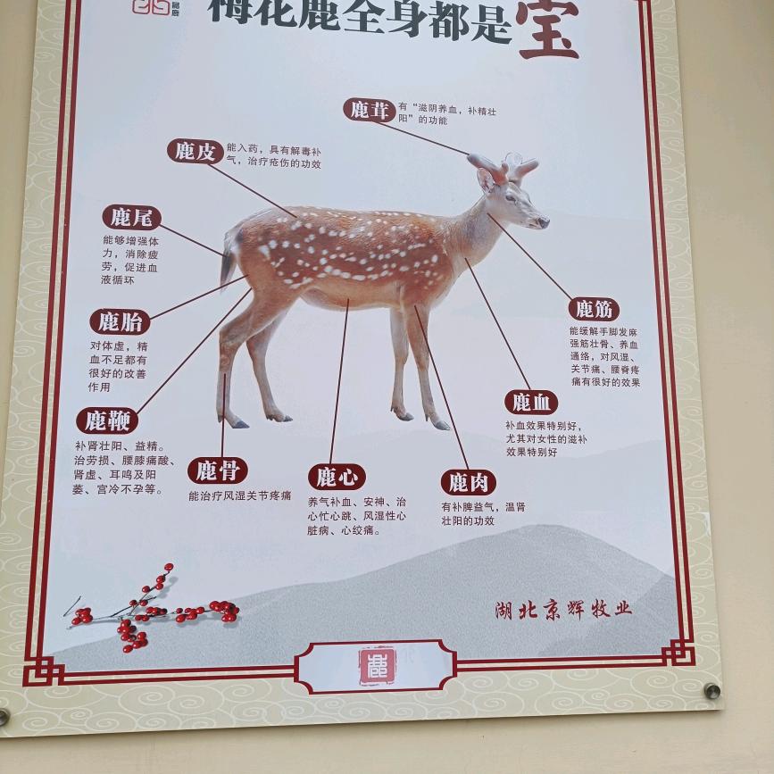 紫阳县刘德安梅花鹿养殖场