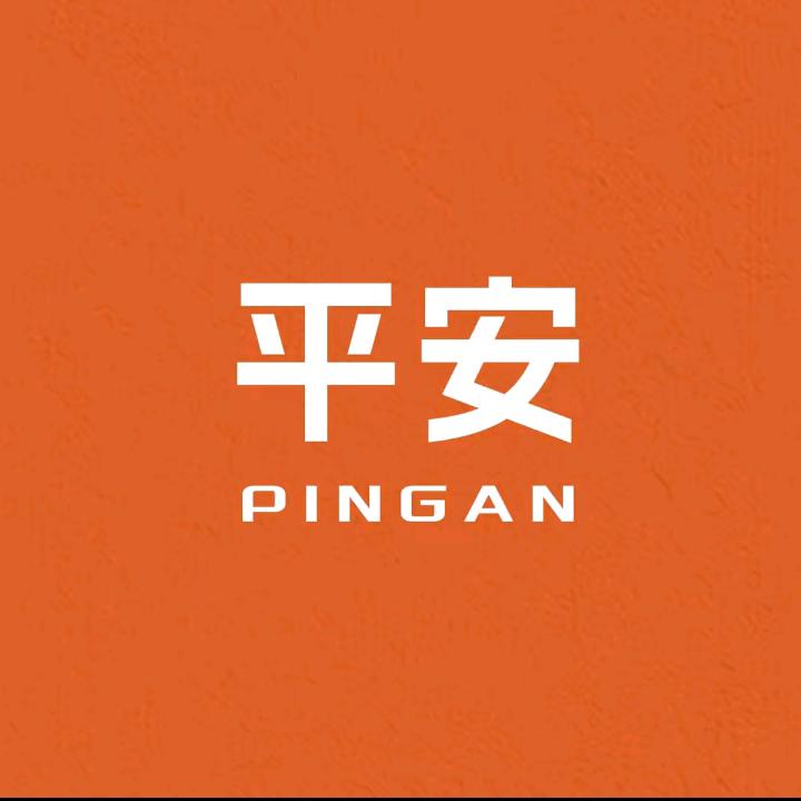 金堂平安锁行，平安智能锁