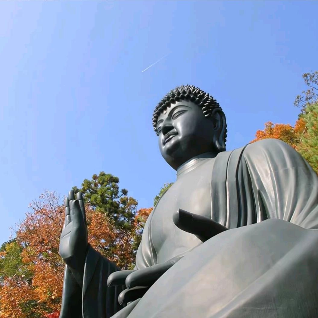 一觉睡不醒