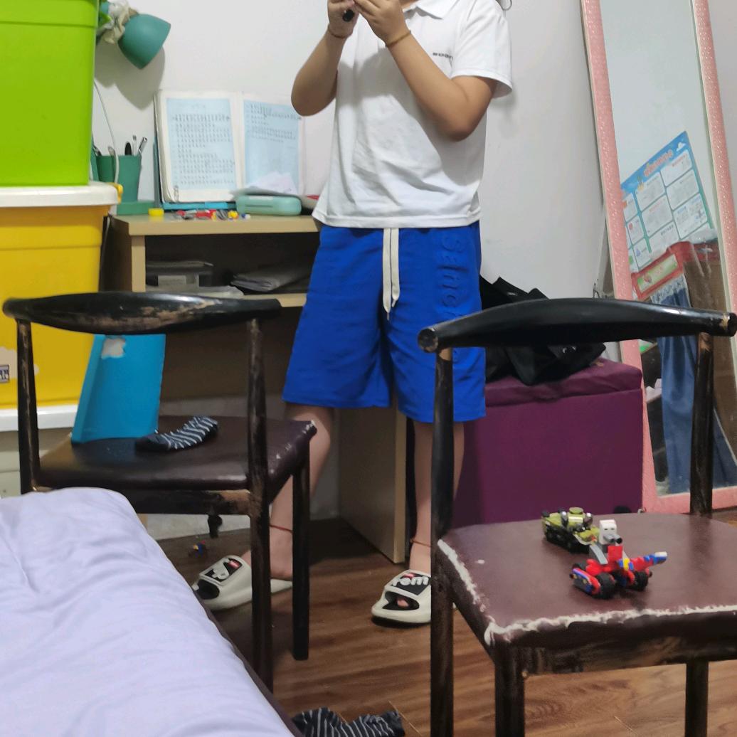 杨树梅