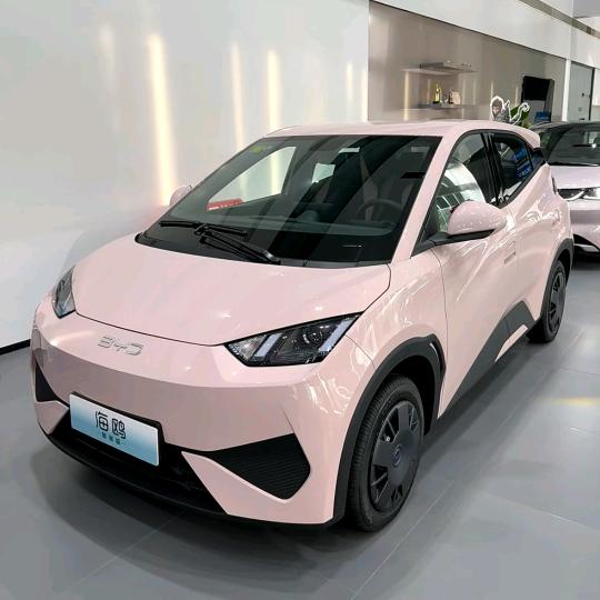 比亚迪海鸥~最新