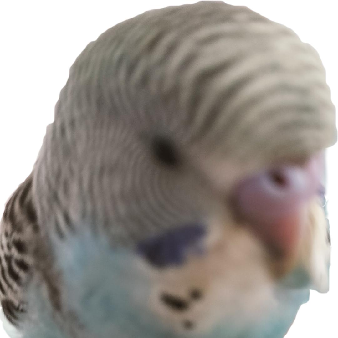 快看看我