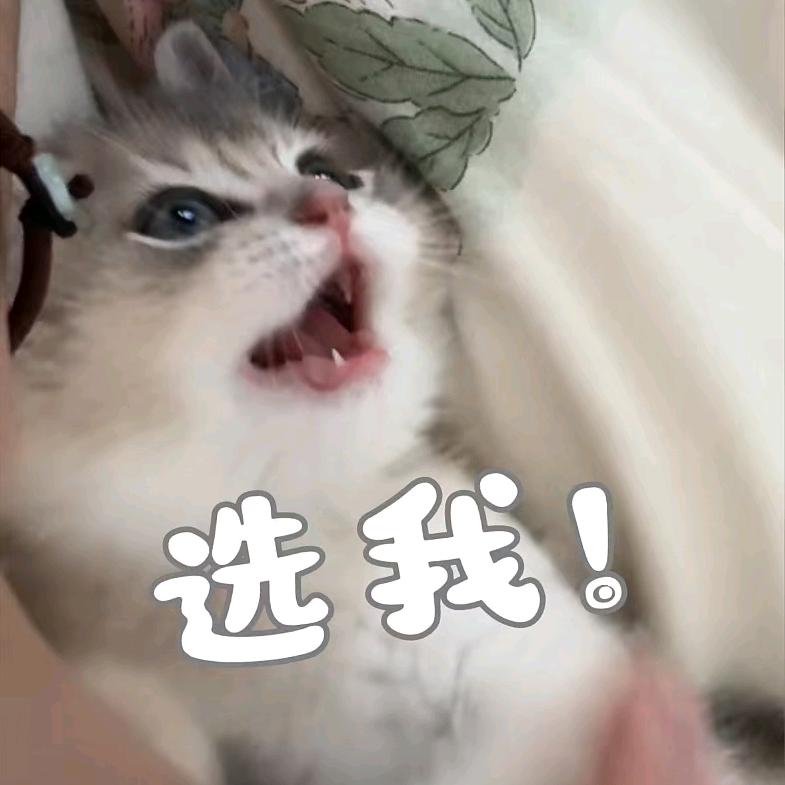 小欣群